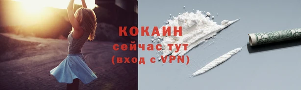 альфа пвп Няндома