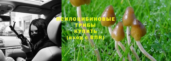 спиды Новокубанск