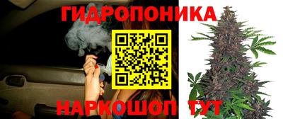 прущая мука Волгодонск