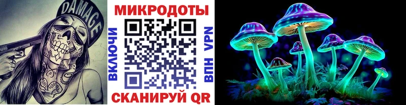 Псилоцибиновые грибы мицелий Грязи