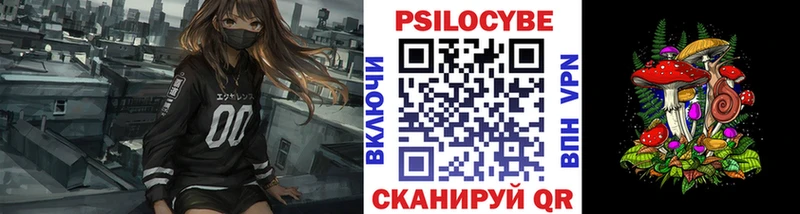 купить  цена  Грязи  Галлюциногенные грибы Psilocybe 