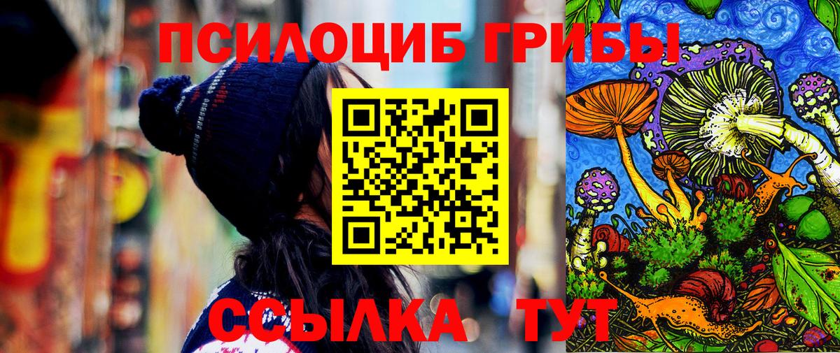 Грязи  Галлюциногенные грибы мицелий  Псилоцибиновые грибы прущие грибы  Вход с VPN 
