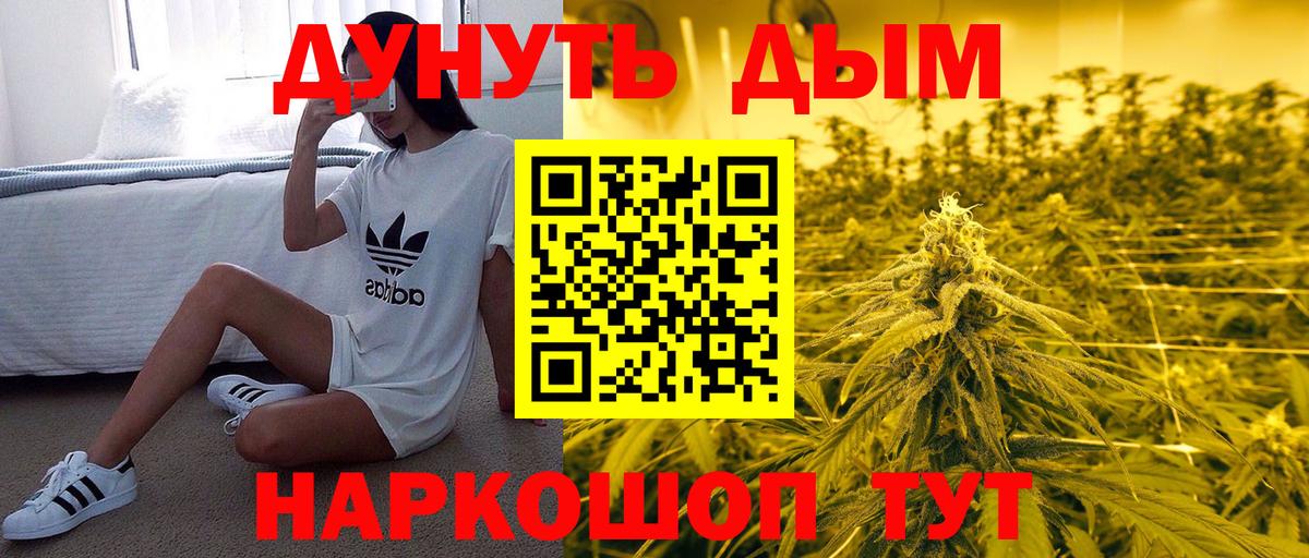Шишки марихуана THC 21%  Шишки марихуана VHQ  Грязи  Бошки марихуана сатива  Вход с VPN  Канабис Bruce Banner 